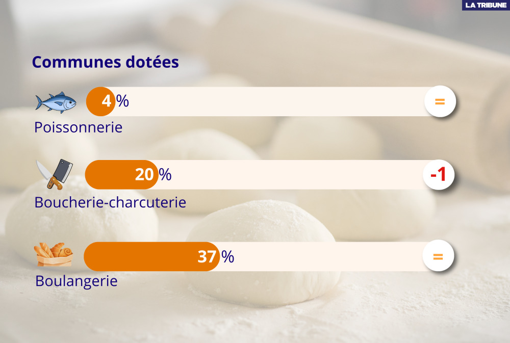 Alors que le nombre d'entreprises artisanales a augmenté dans toutes les activités, le secteur de l'alimentation stagne (plus d'infos plus bas).