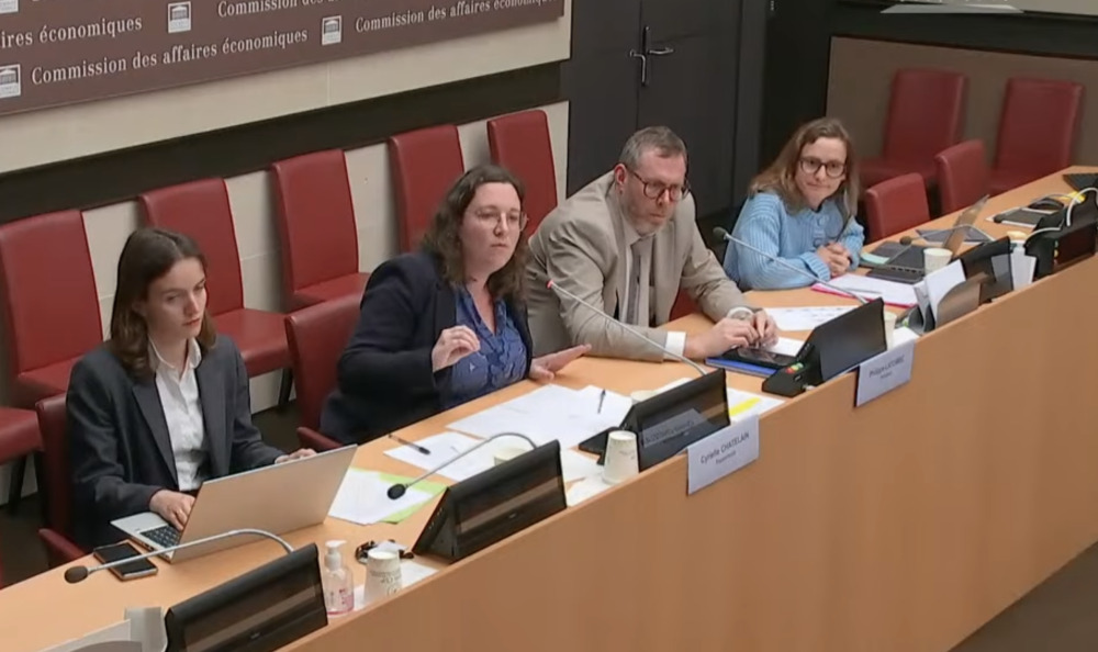 Les députés Cyrielle Chatelain et Philippe Latombe au centre.