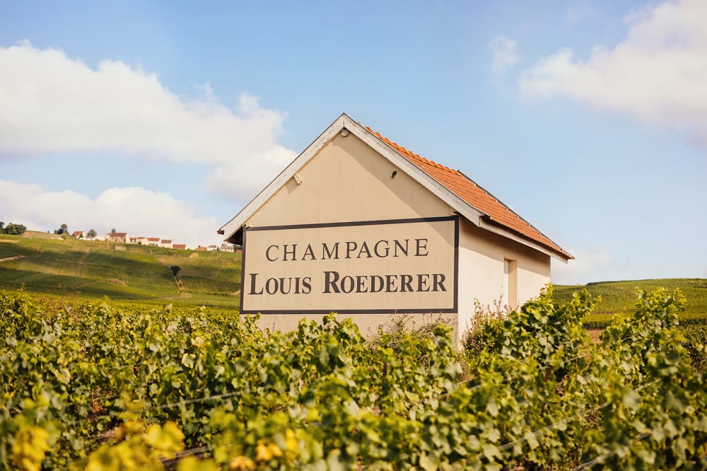 Découvrez le deuxième épisode de notre série « Affaires de famille » sur l'épopée de la maison de champagne Roederer.