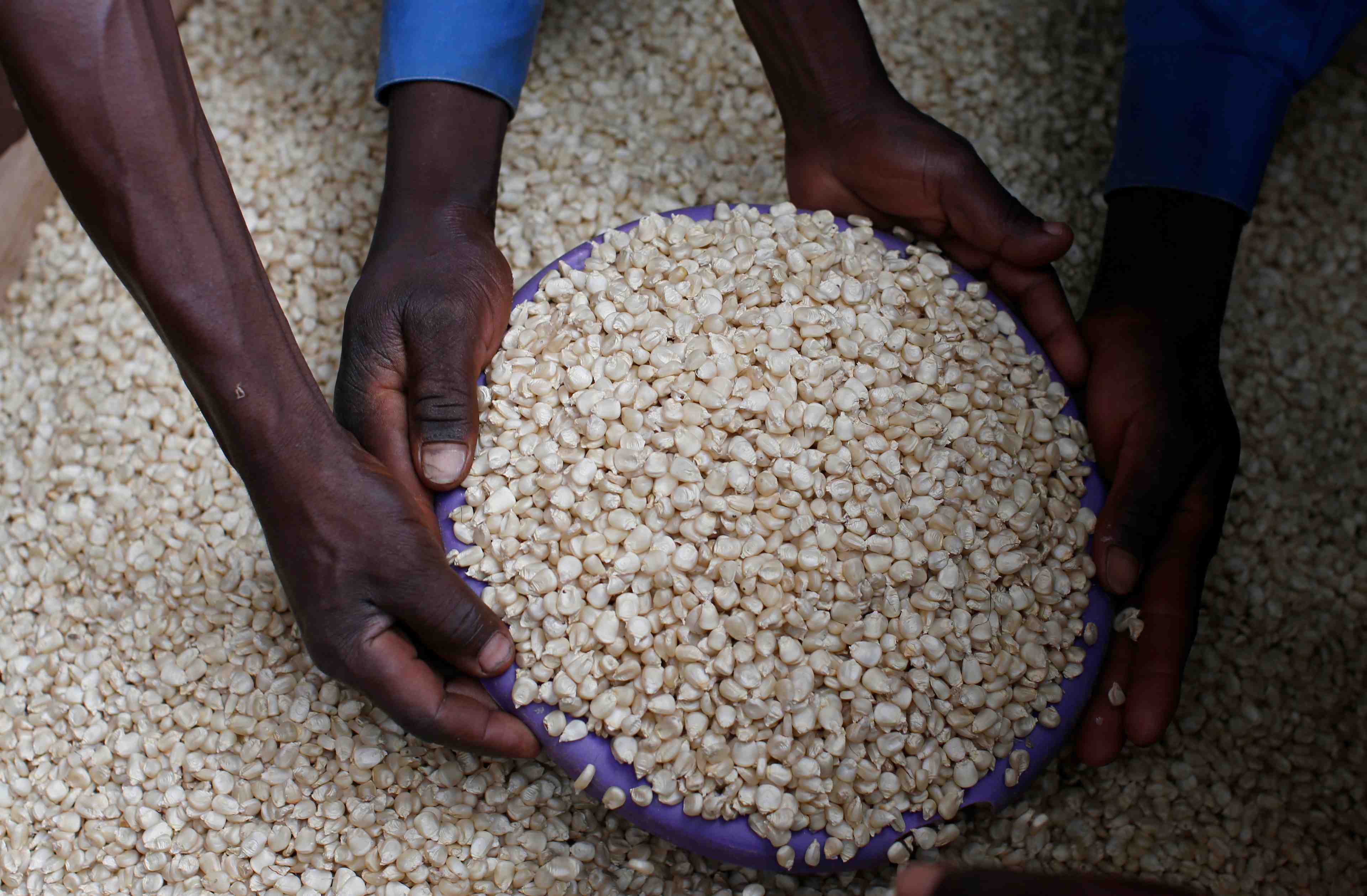 113 millions de personnes en situation de crise alimentaire en 2018