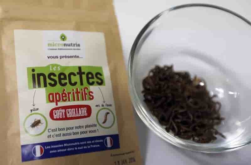 Micronutris, leader europeen des insectes comestibles, leve des fonds
