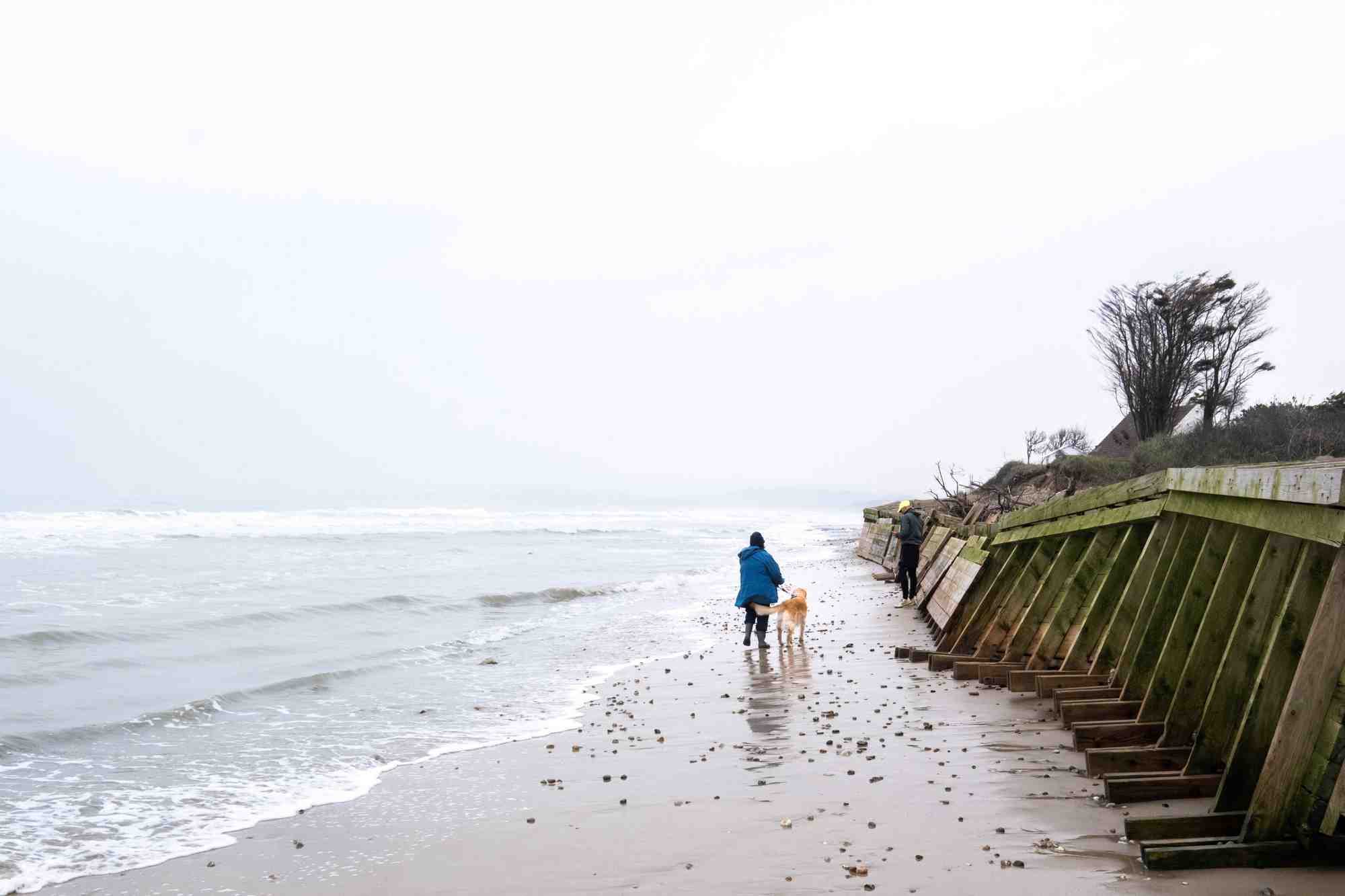 La CCR a estimé à 550 millions d'euros le coût des inondations pris en charge par le régime de catastrophe naturelle dans les Hauts-de-France, dont la moitié à sa charge.