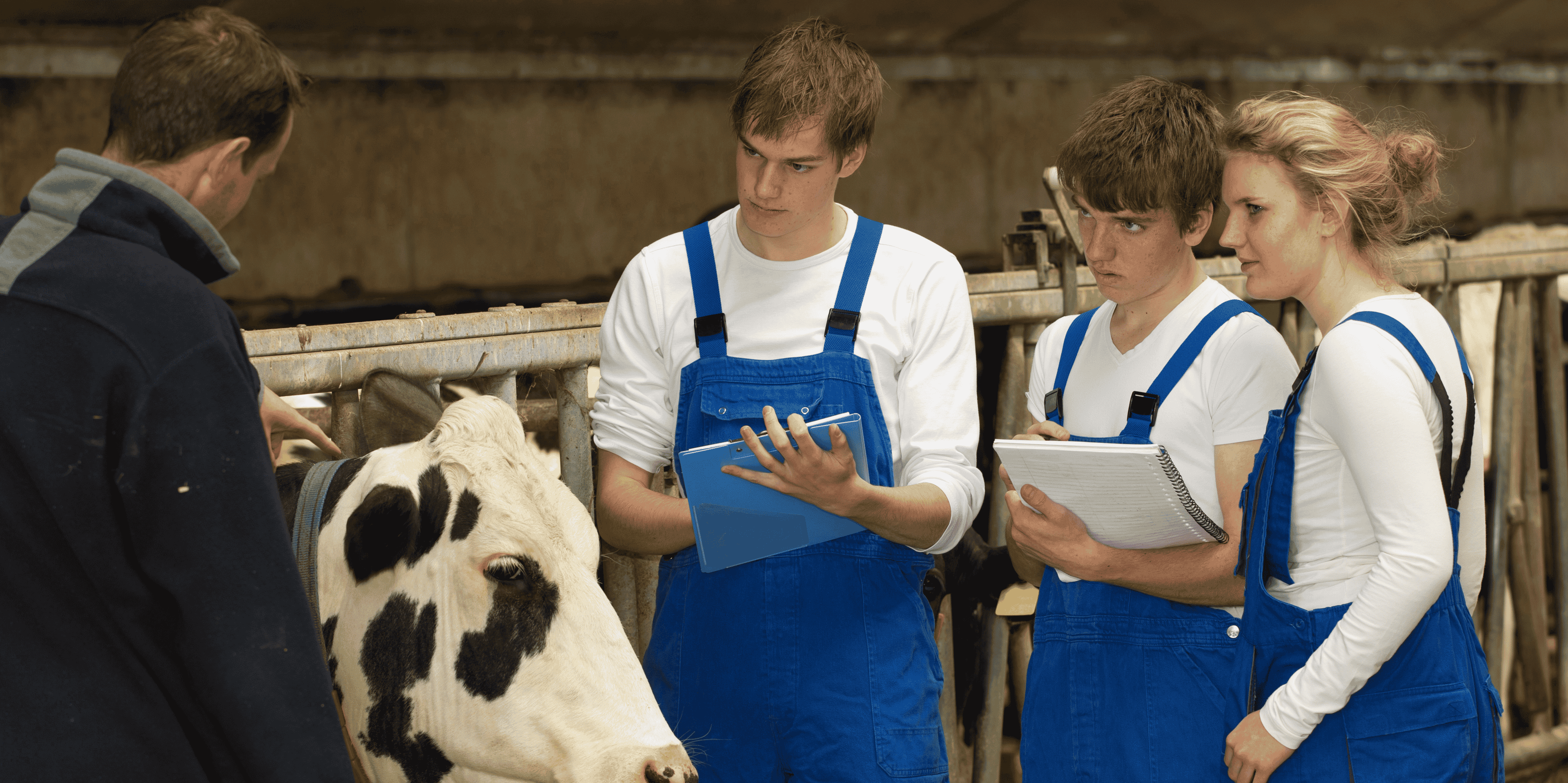 agriculture