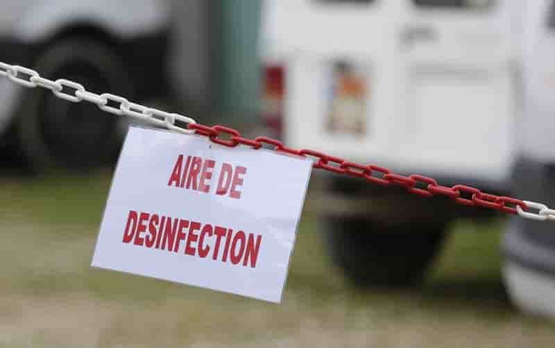 Le virus de grippe aviaire detecte dans les deux-sevres peu pathogene