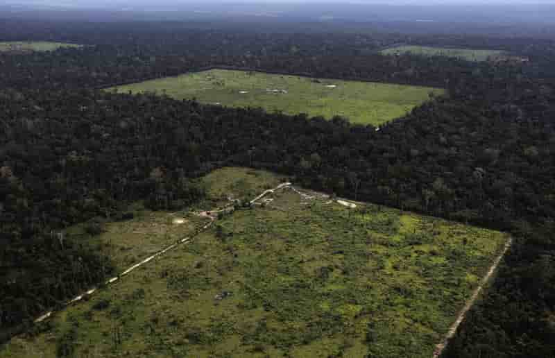 La déforestation en Amazonie a grimpé de près d'un tiers en un an