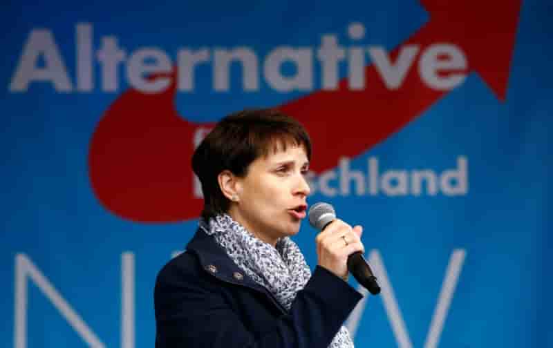 Petry, copresidente de l'afd, perd son immunite parlementaire