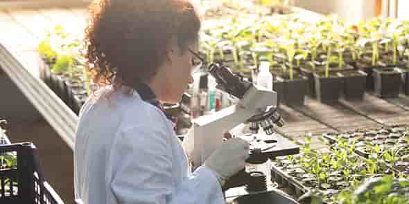 NFL Biosciences développe un candidat médicaments botanique pour le traitement des addictions tabagiques