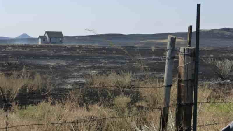 Important feu de foret dans le montana