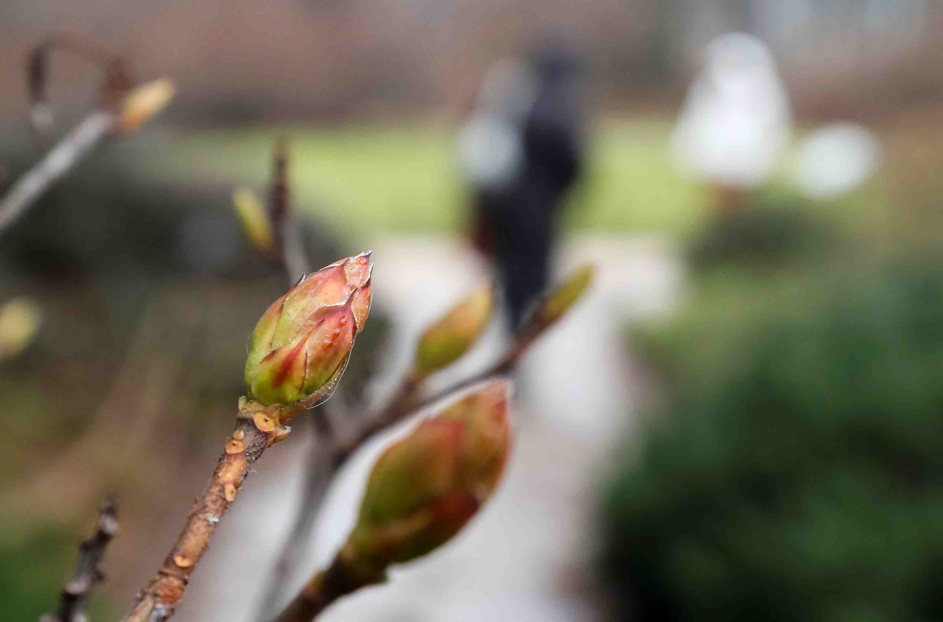 Une temperature de 6°c attendue dans la nuit a moscou