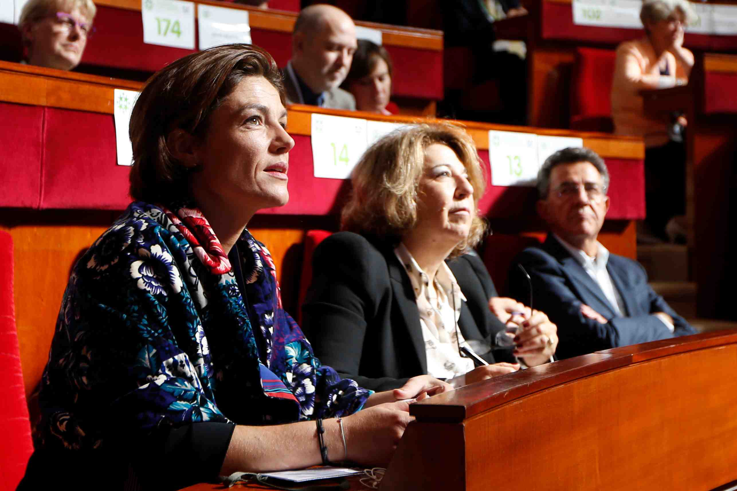 Chantal jouanno renonce a organiser le grand debat national