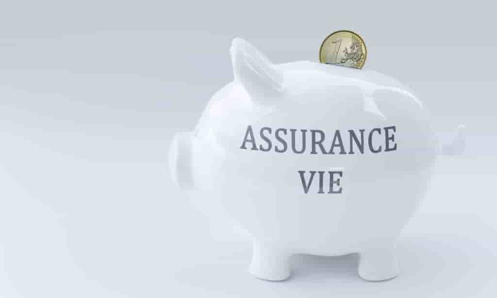 Assurance-vie : pourquoi faut-il vite faire son rachat ?