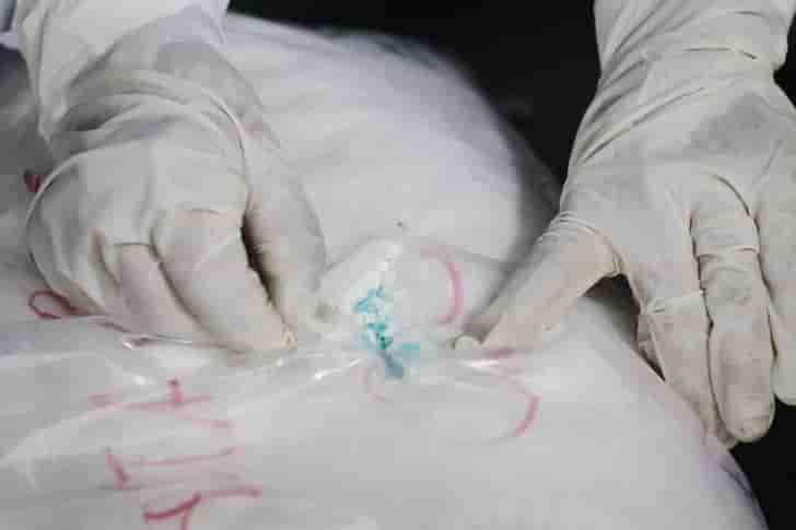 Plusieurs centaines de kilos de cocaine saisis a tahiti