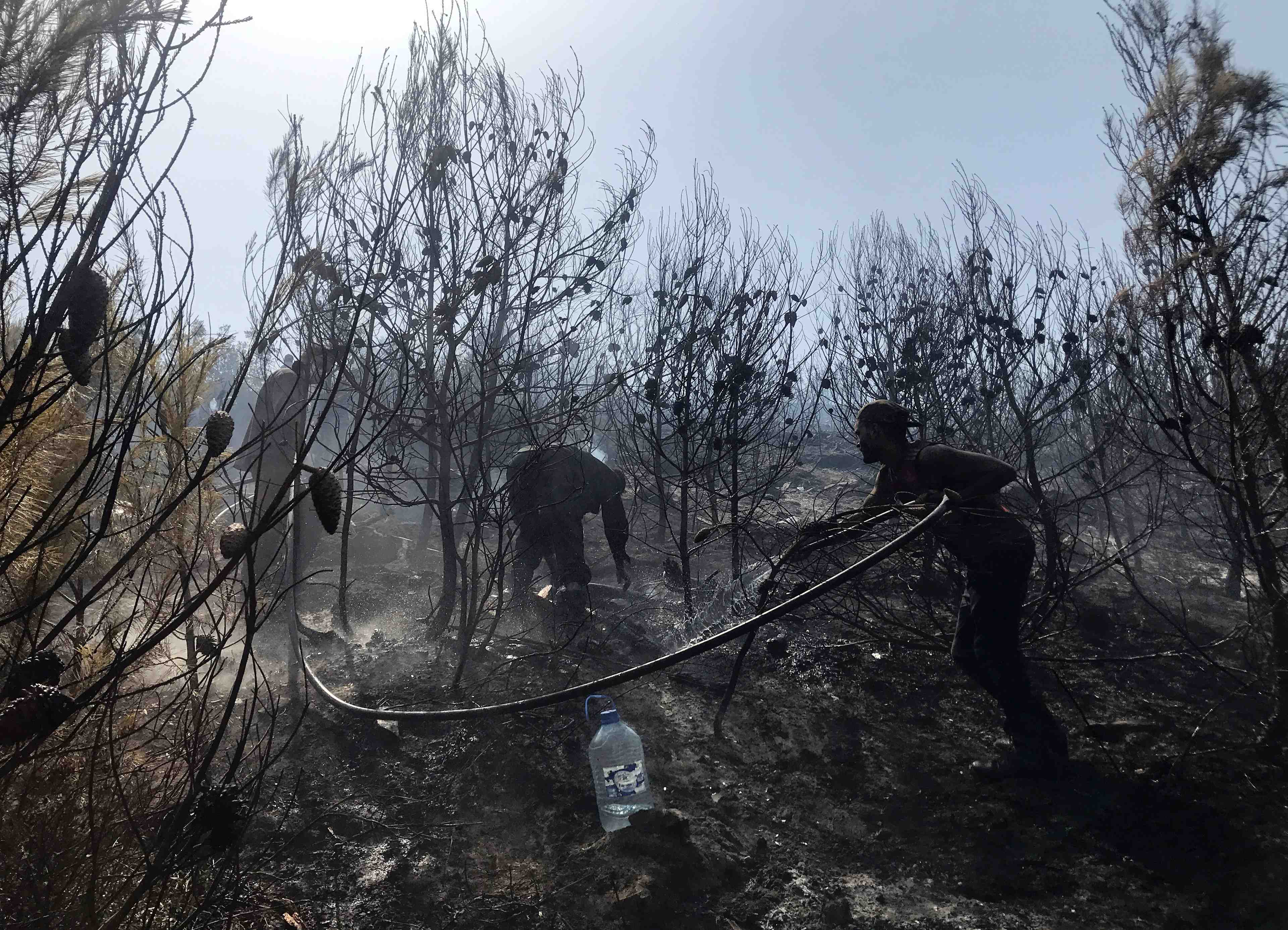L'algerie accuse un groupe lie au maroc et israel d'etre a l'origine des incendies