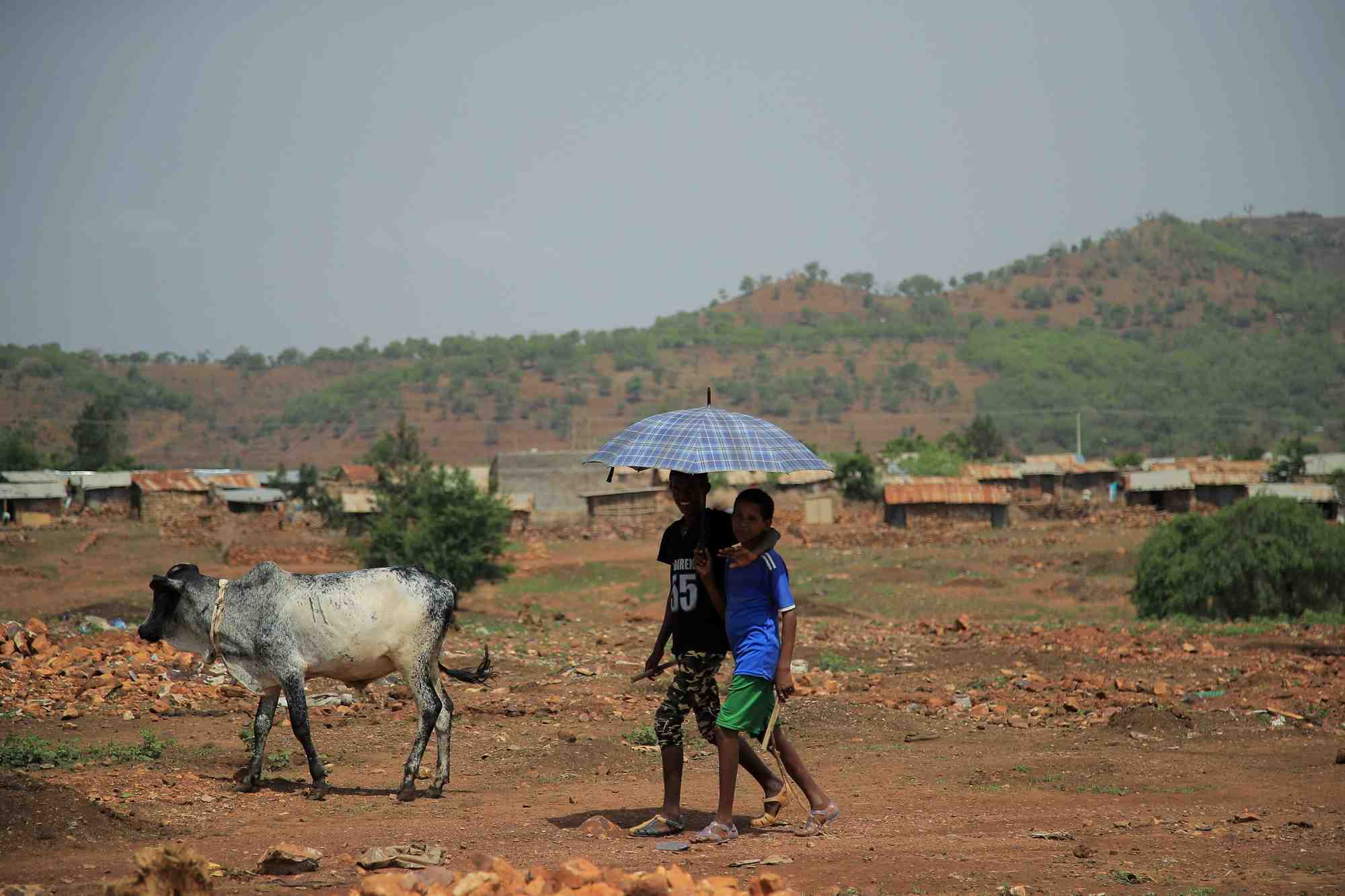 Ethiopie: les forces du tigre disent qu'elles respecteront le cessez-le-feu humanitaire