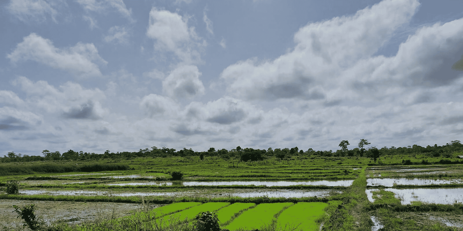 Site Rizicole de Seman-Djamalabo