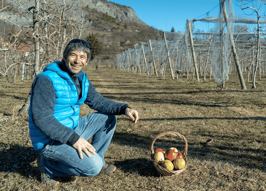 Alpes Coop Fruits