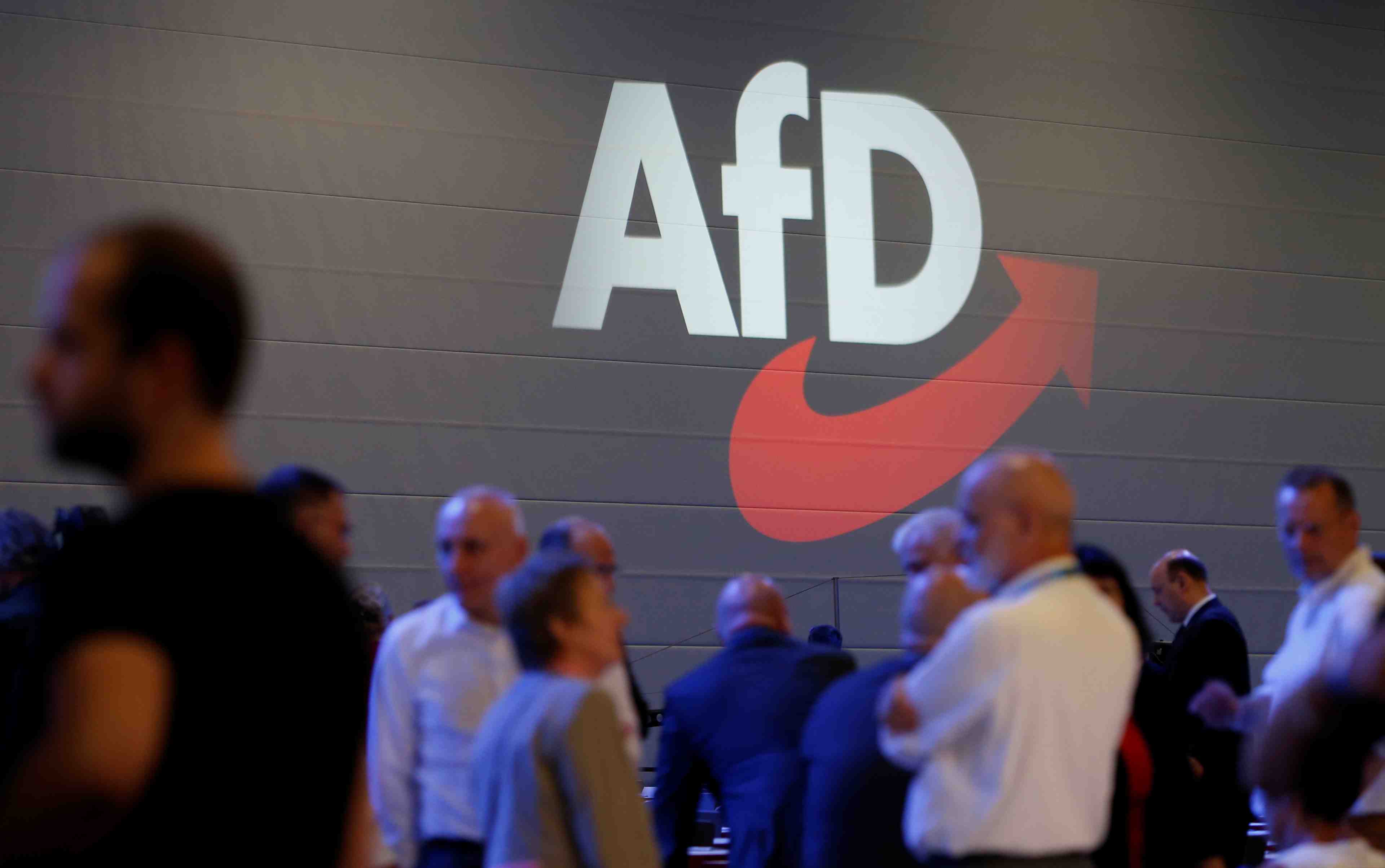 Le renseignement allemand enquete sur l'afd