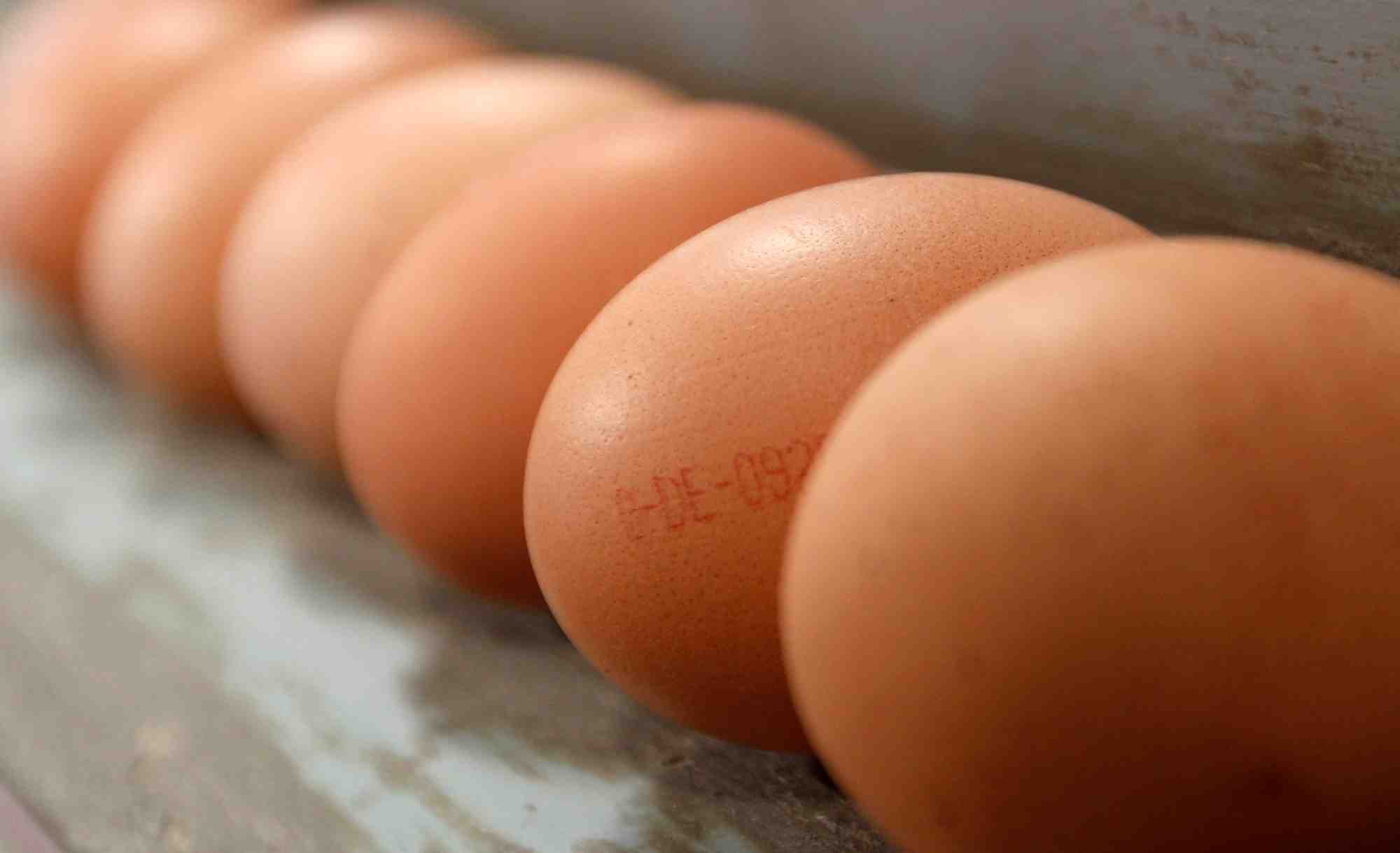 Oeufs