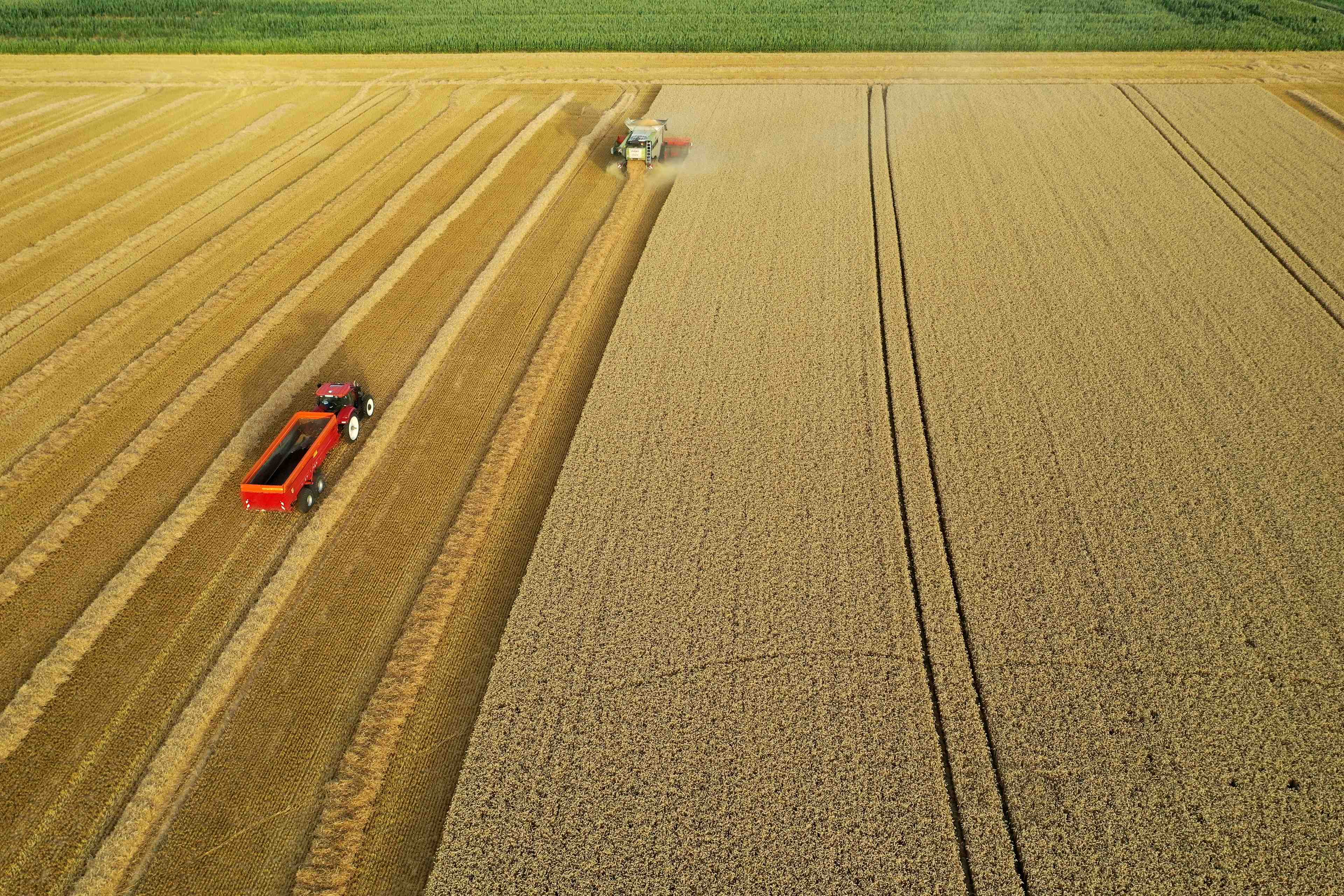 Des milliers d'agriculteurs francais gravement menaces par la chute des rendements