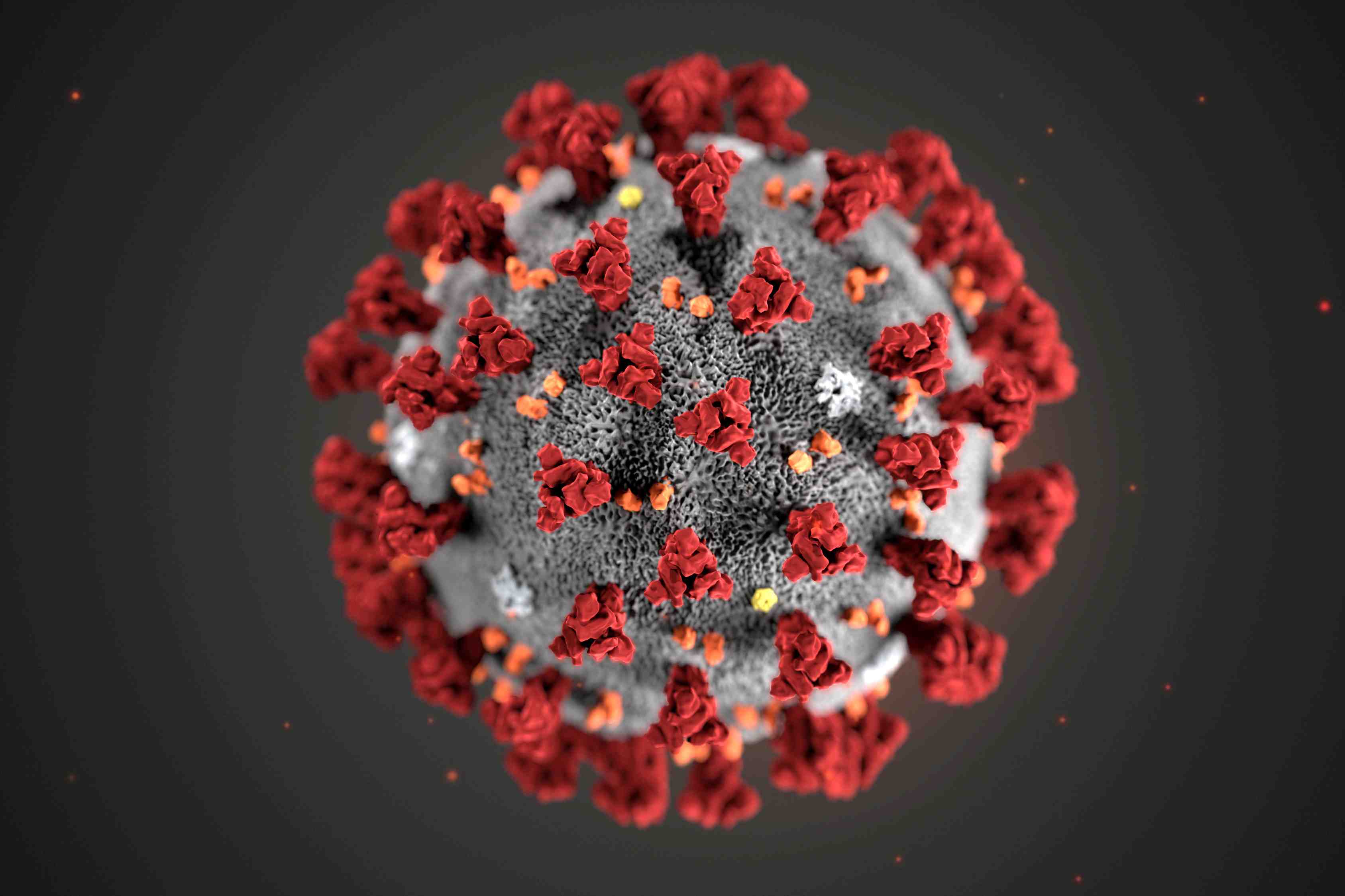Une nouvelle variante du coronavirus decouverte en angleterre