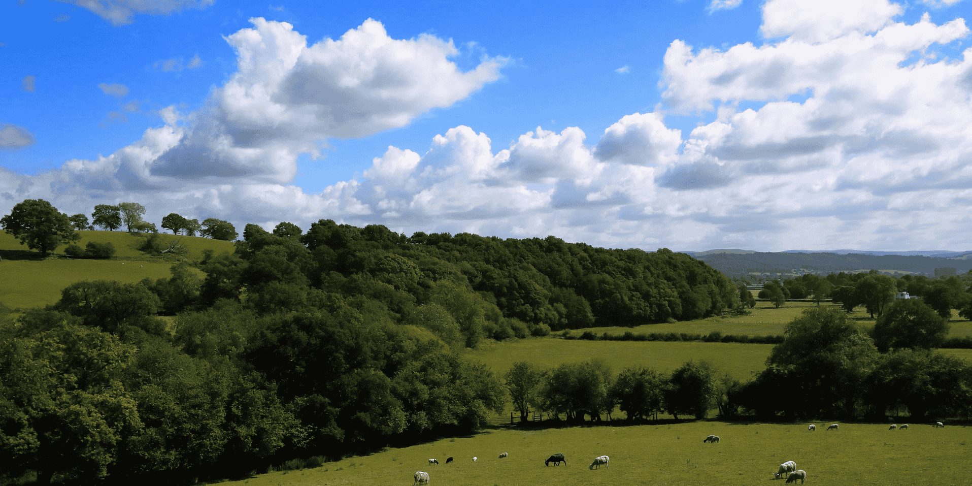 agriculture