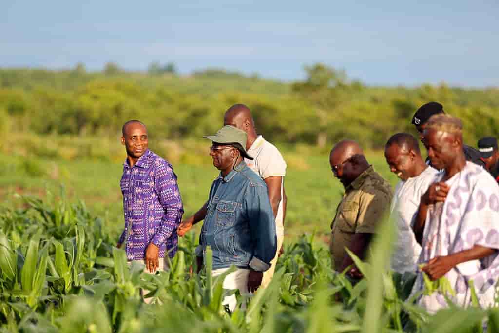 Ghana Tamale Agriculture