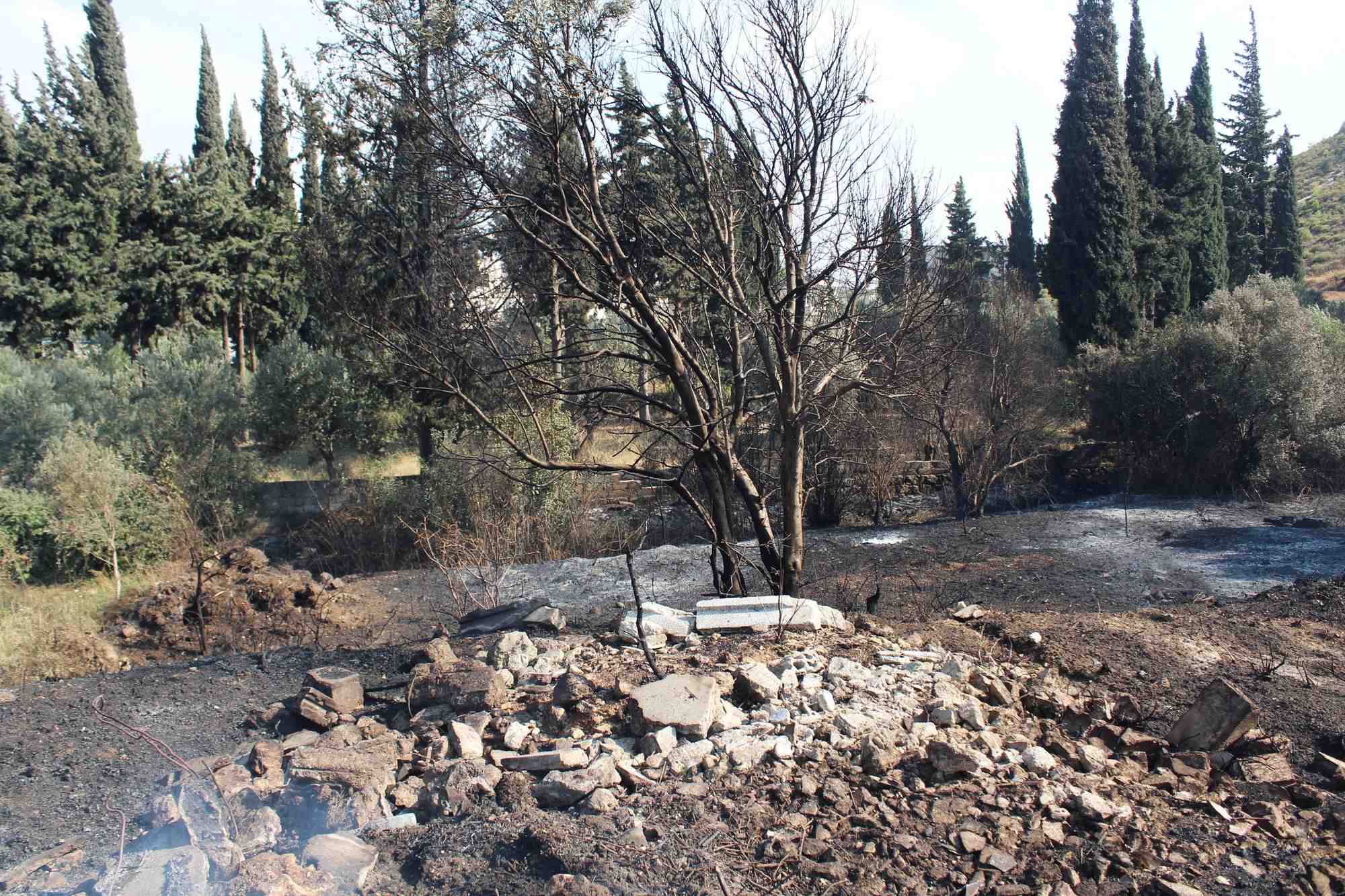 Consequences d'une frappe israelienne a hama