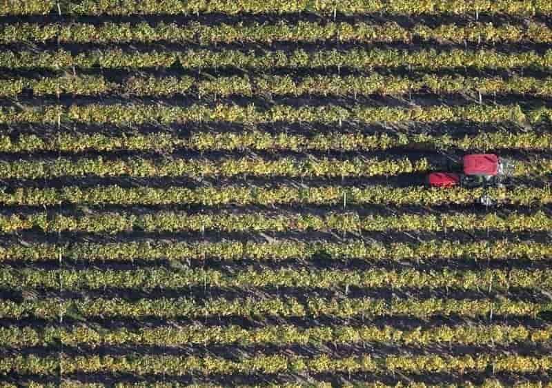 Modeste hausse des exportations de vins & spiritueux