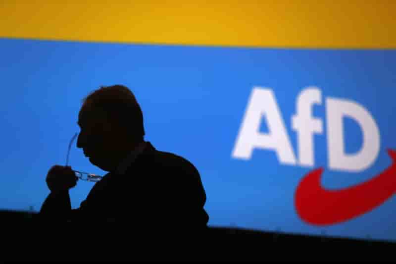Vives critiques en allemagne sur la visite de membres de l'afd en syrie
