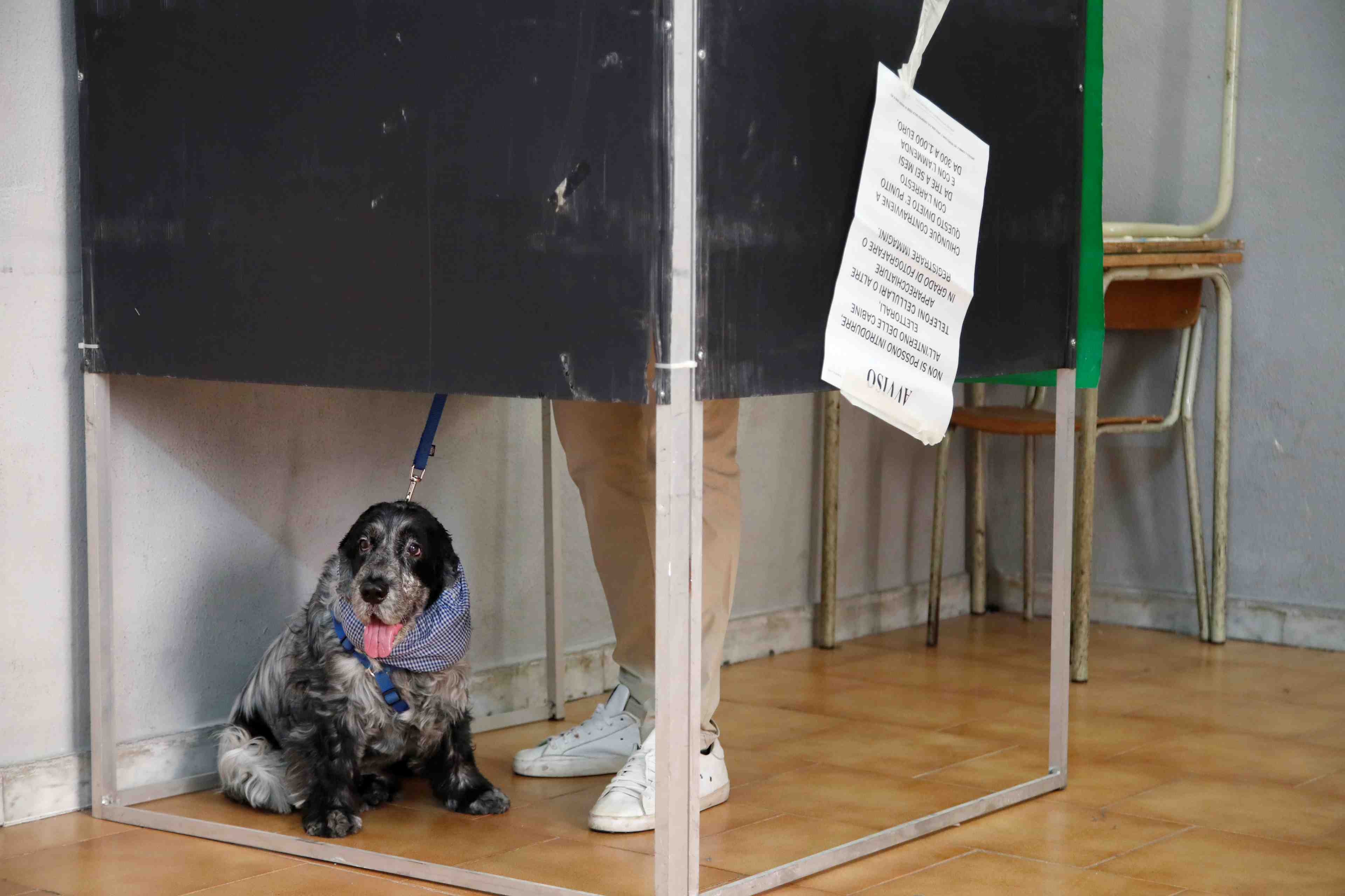 L'italie reporte des elections municipales a cause du covid-19