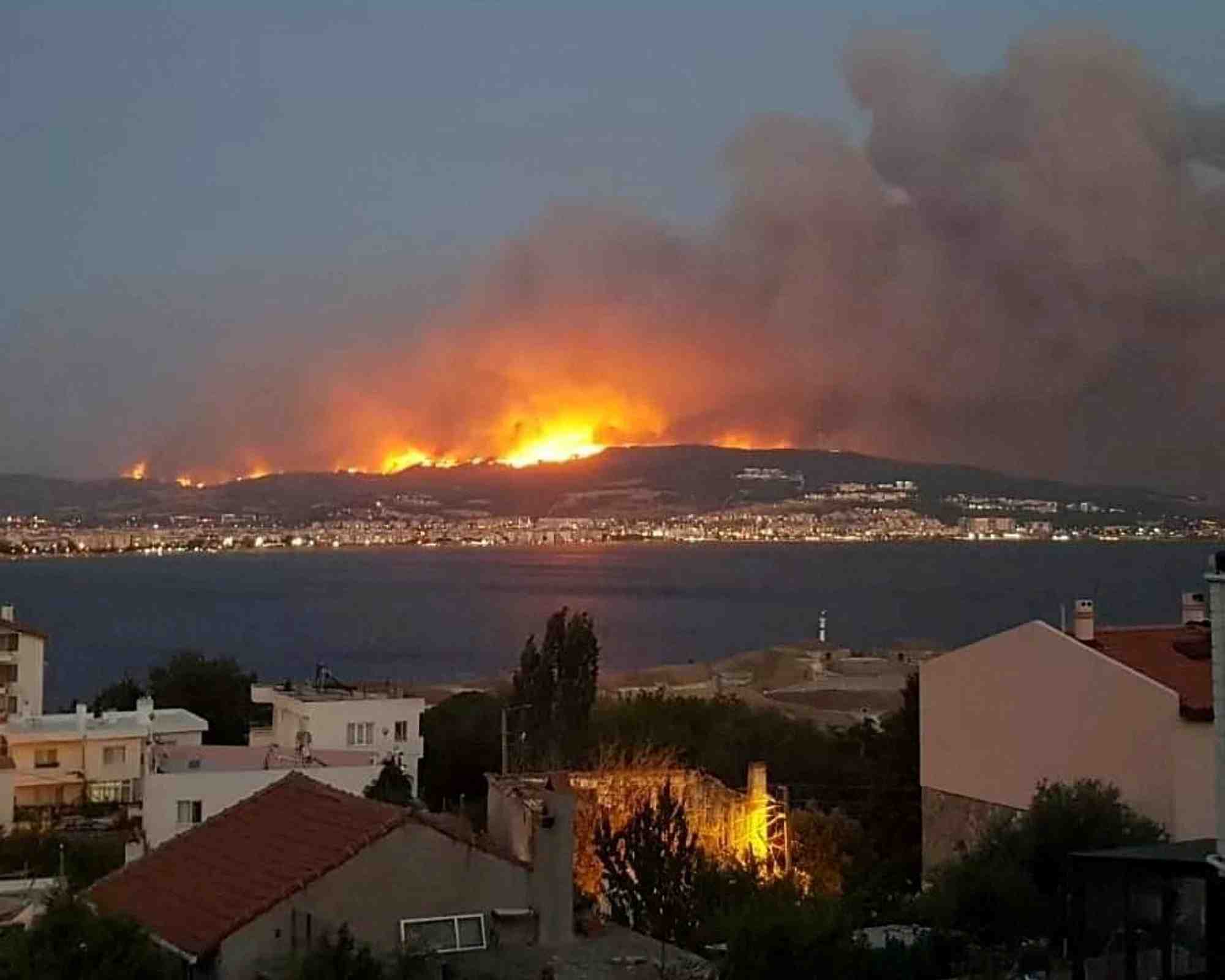 Un incendie de foret a canakkale, turquie