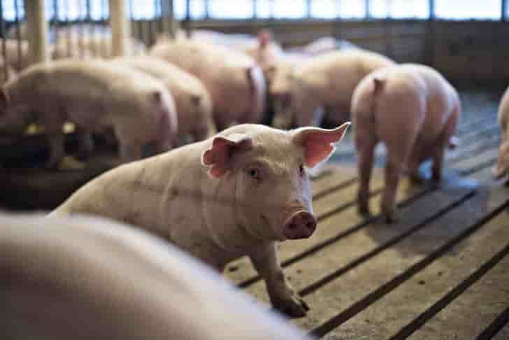 La chine a taxe les produits us pour "equilibrer les pertes"