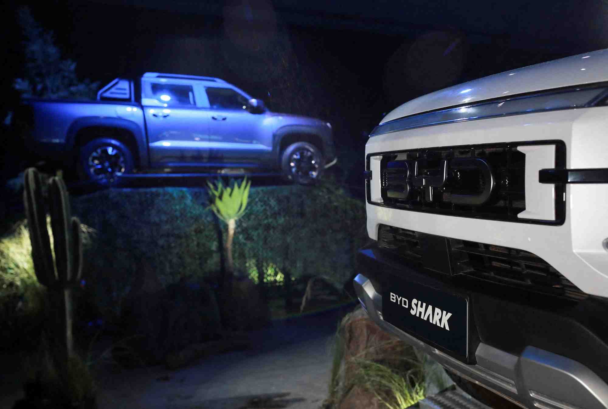 Le byd shark presente lors d'un evenement a mexico city