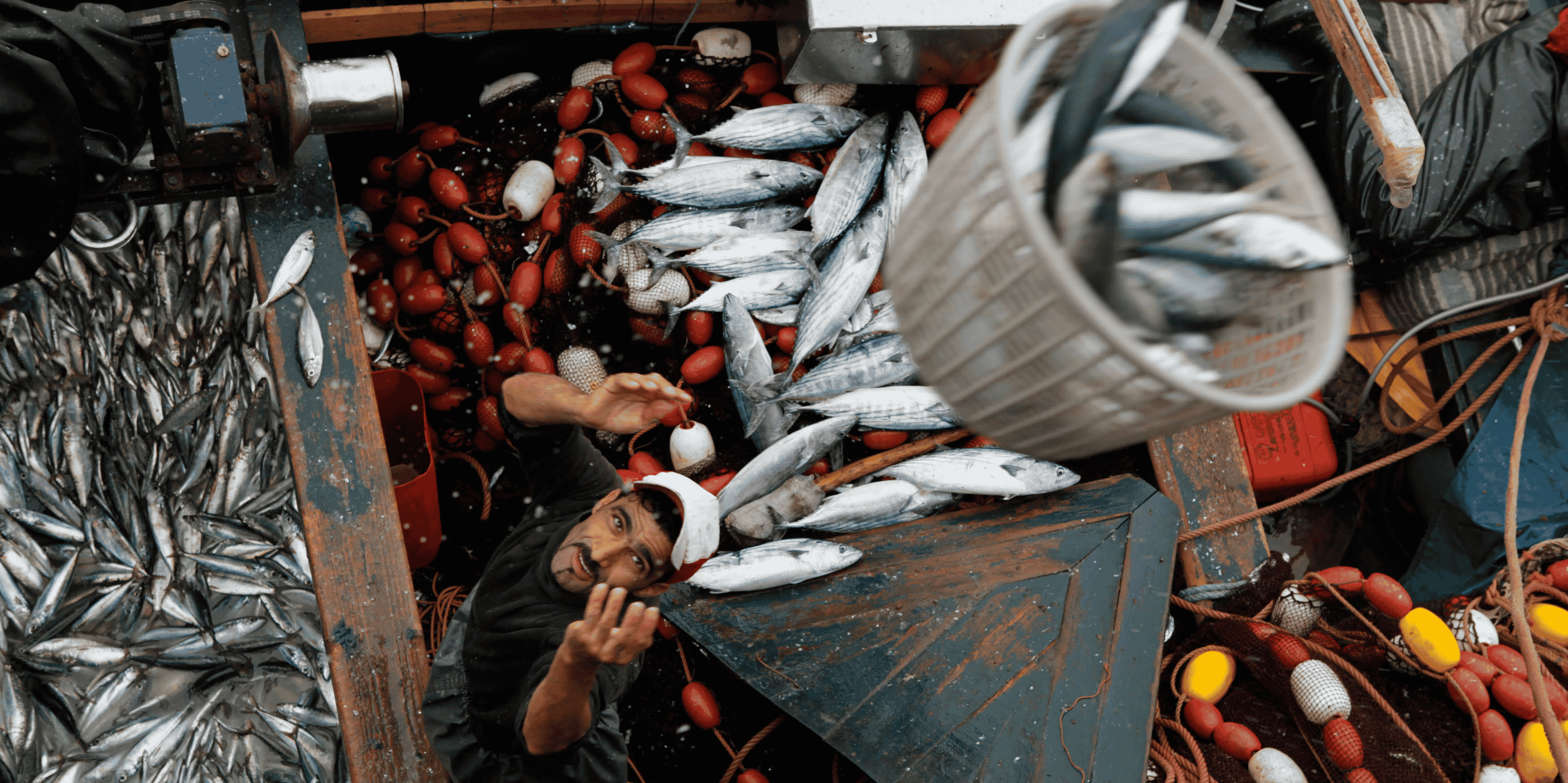 Pêche