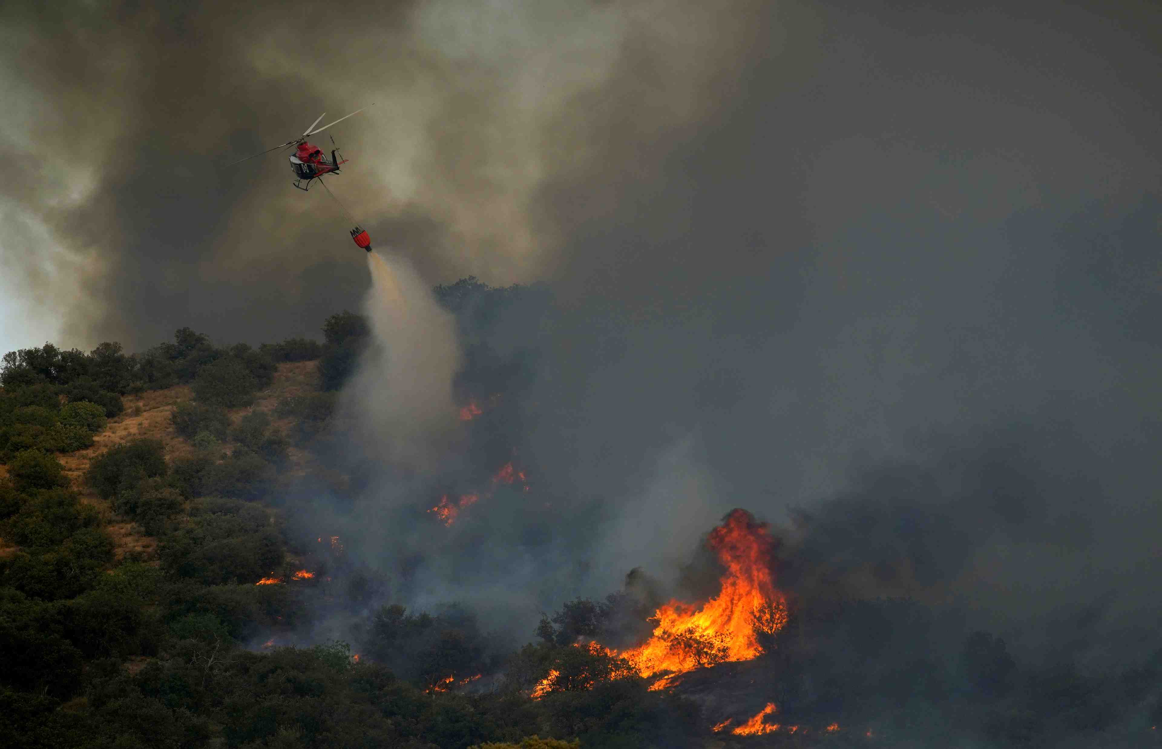 Canicule: feux de foret et coupures de courant en europe