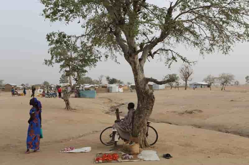 Des refugies nigerians expulses du cameroun