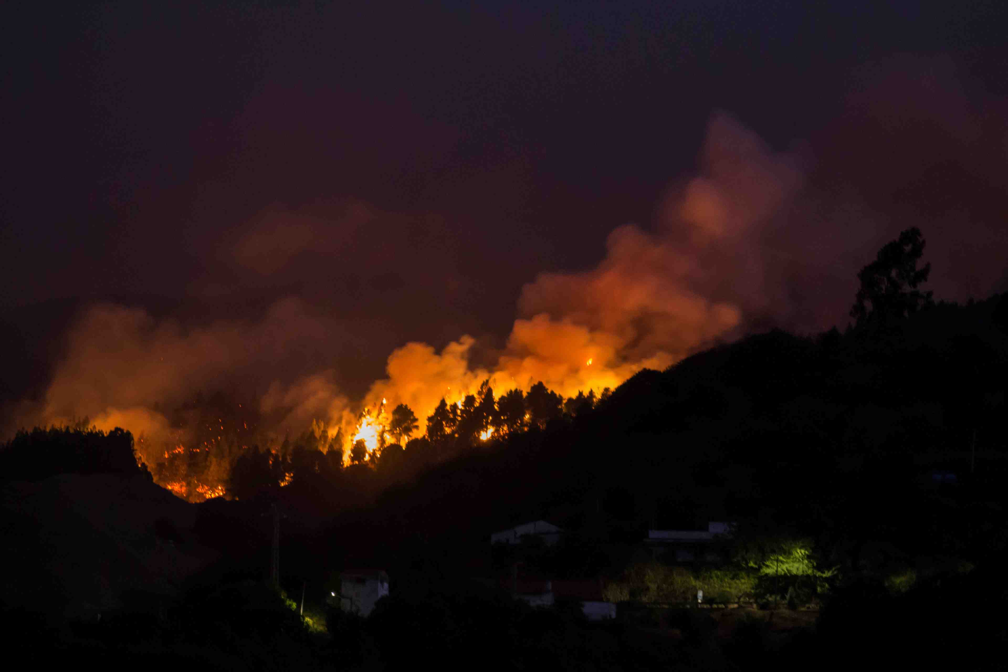 Incendie a la grande canarie, 8.000 personnes evacuees