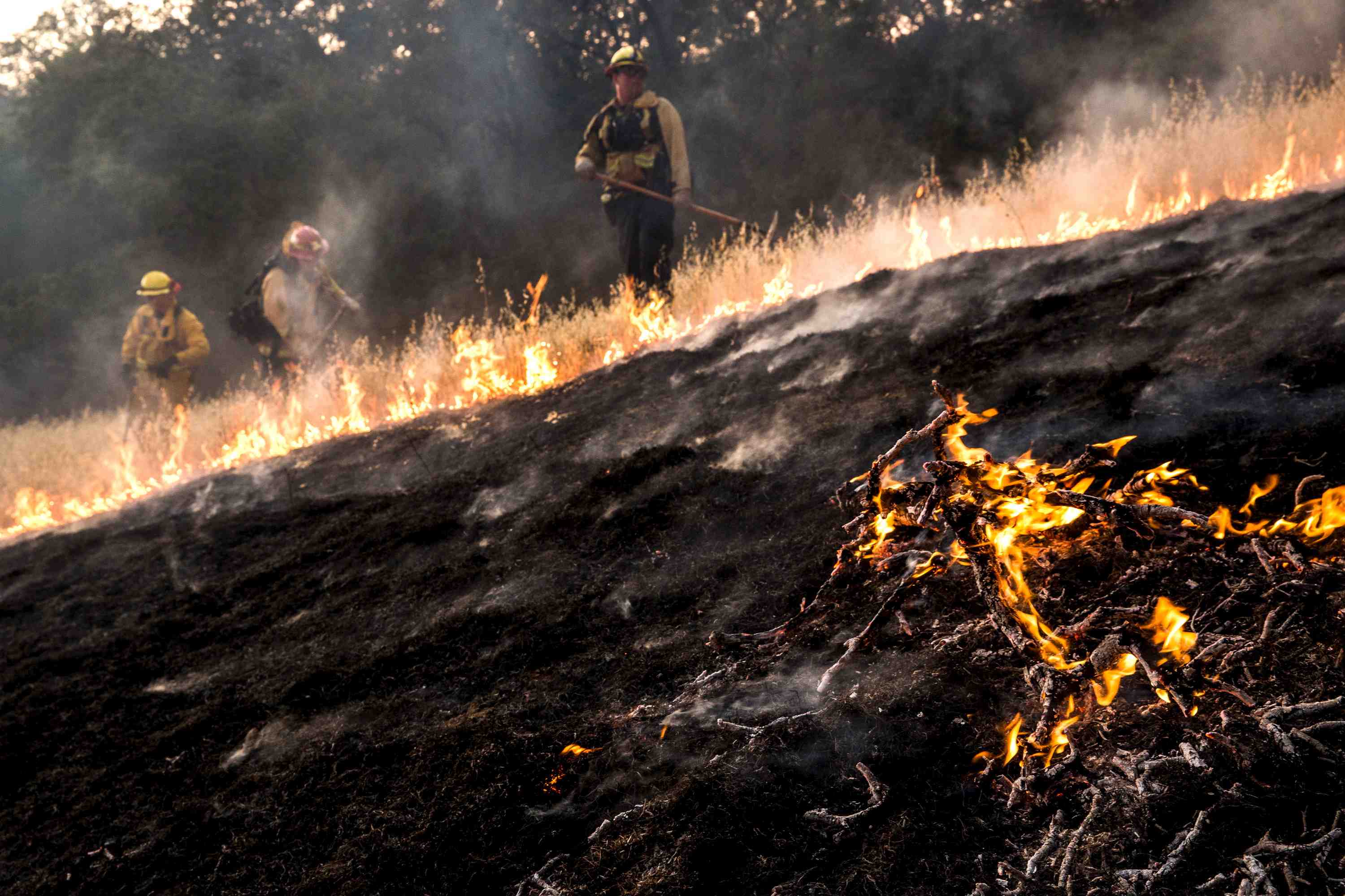 La californie ravagee par une vingtaine d'incendies