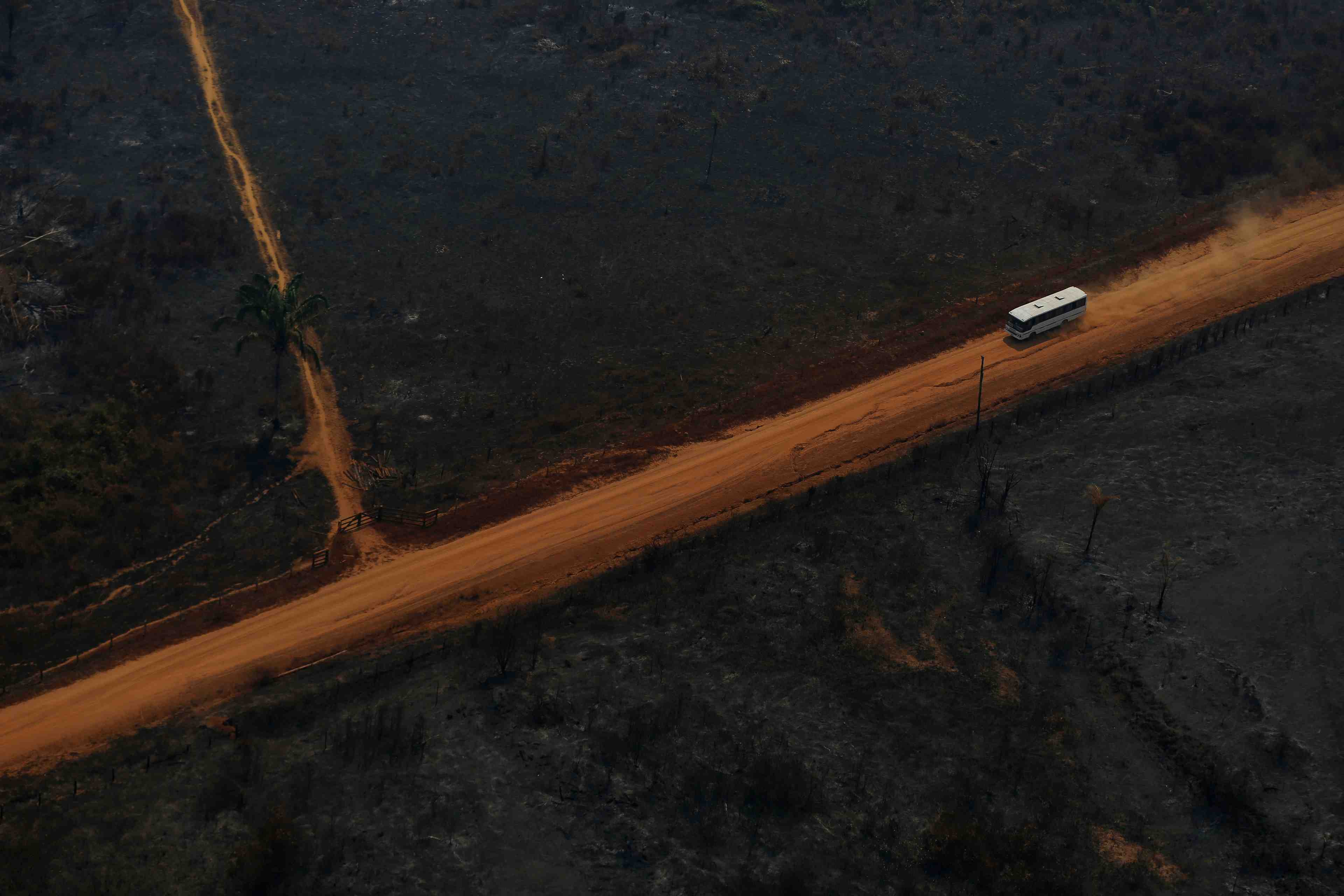 La construction de routes en amazonie pourrait detruire des millions d'hectares de forets, selon une etude