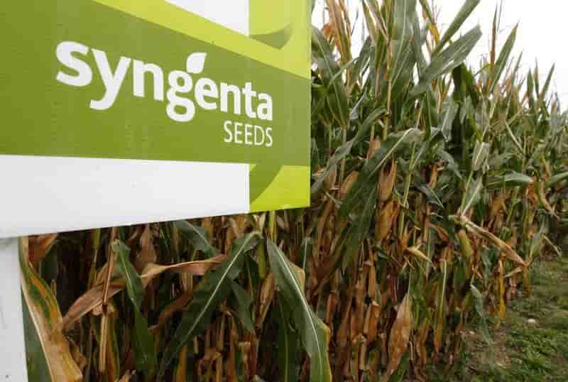 Syngenta anticipe une stabilite de son resultat operationnel cette annee