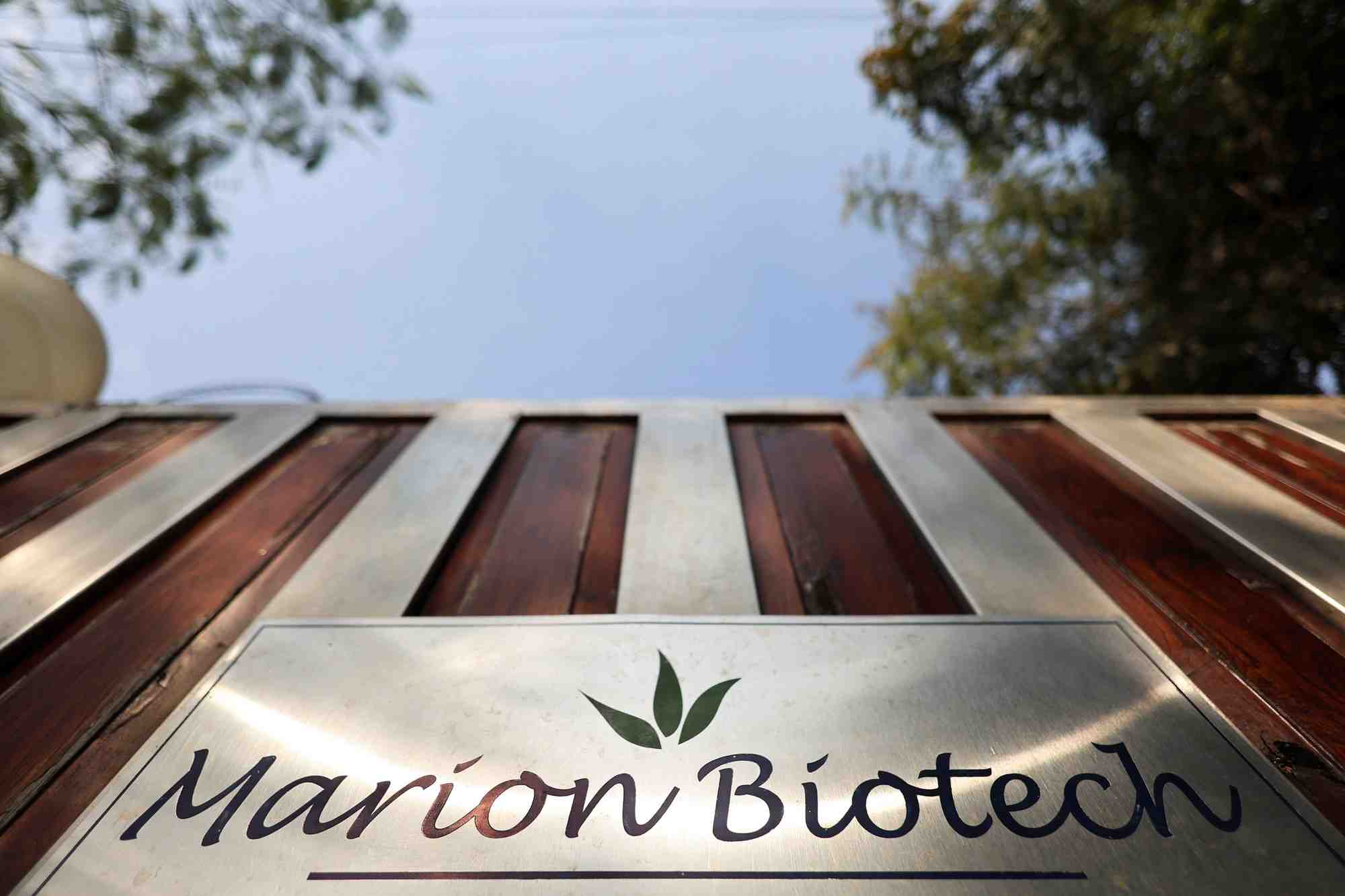 Les bureaux de marion biotech, a noida