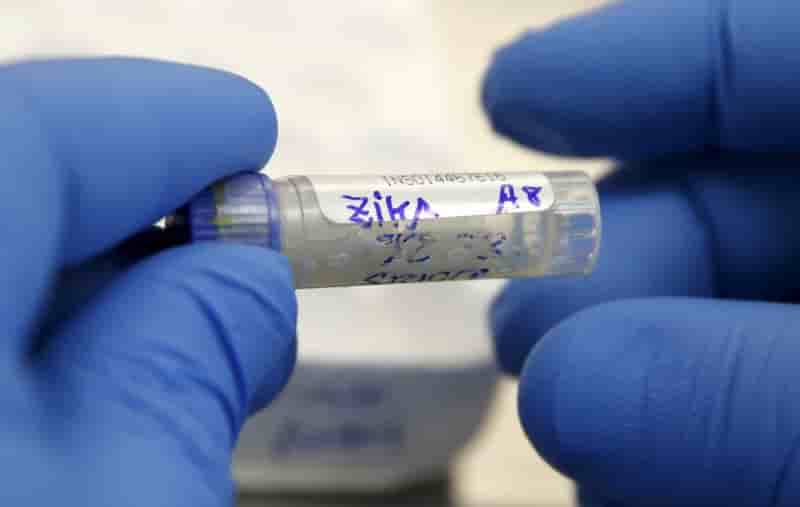 Premiers cas de virus zika en irlande