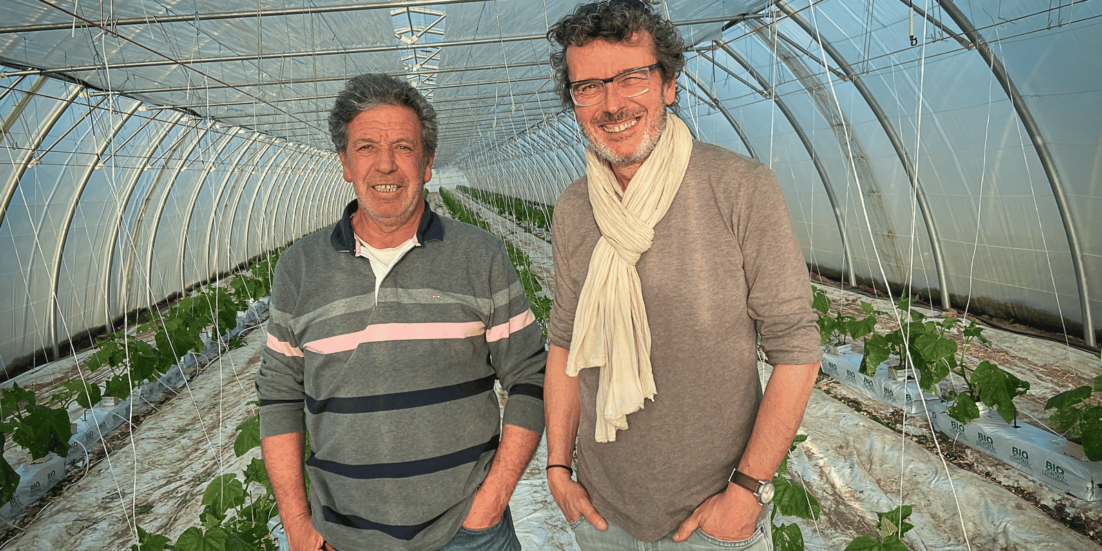 Manu Ruperez et Bruno Sangerma, respectivement maraîcher et commercial du groupe coopératif Saveurs des Clos, à Ille-sur-Têt.