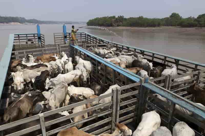 Les etats-unis suspendent les importations de boeuf bresilien