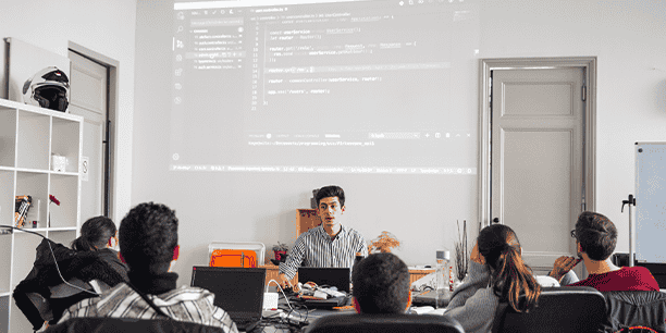 Wild Code School