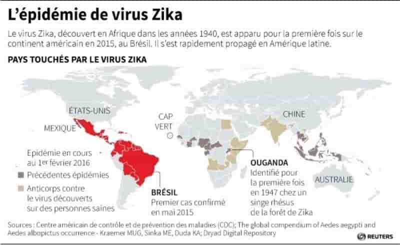 L'epidemie de virus zika