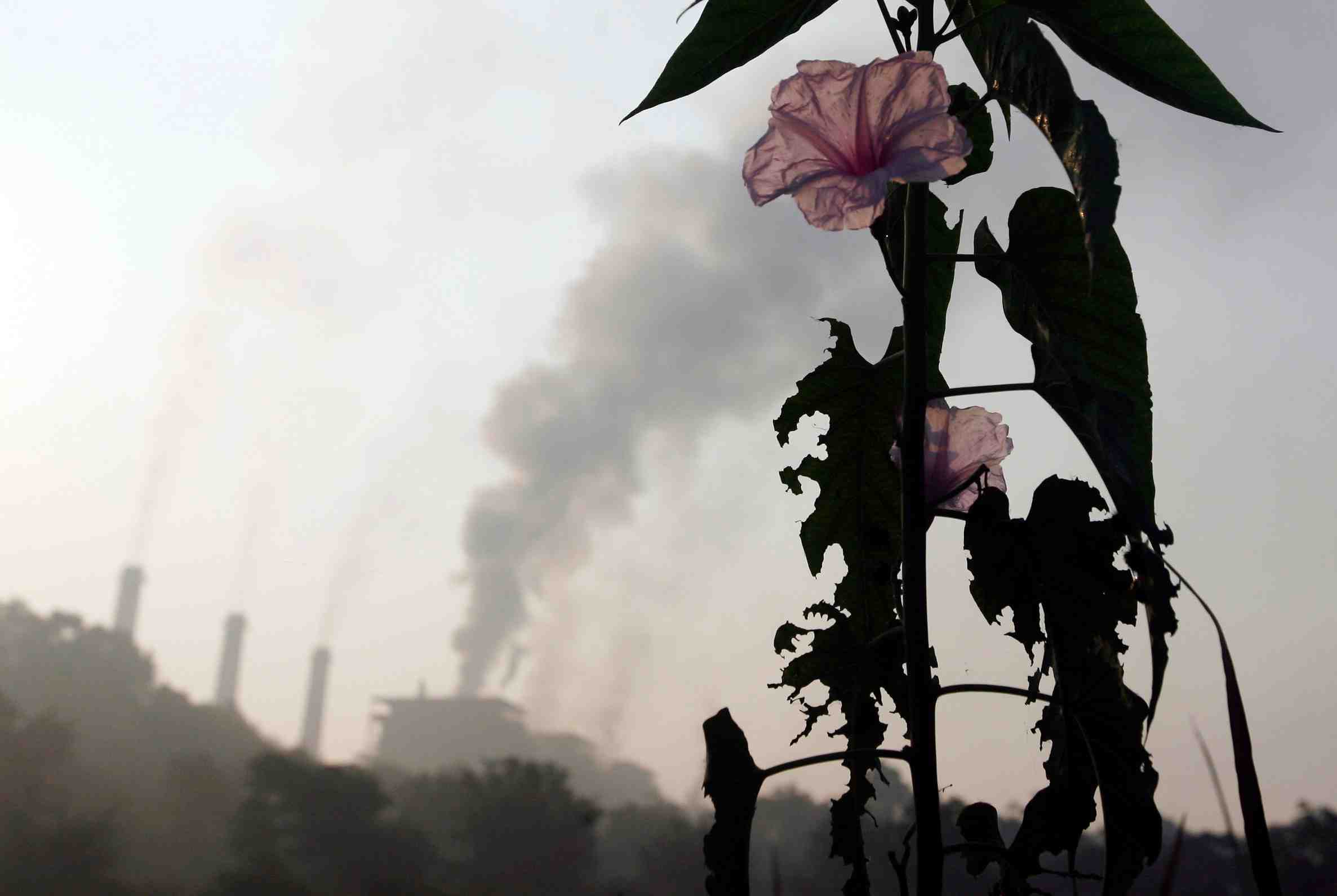 Industrie en Inde