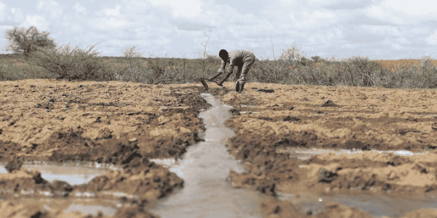 Agriculture terres irrigation labour