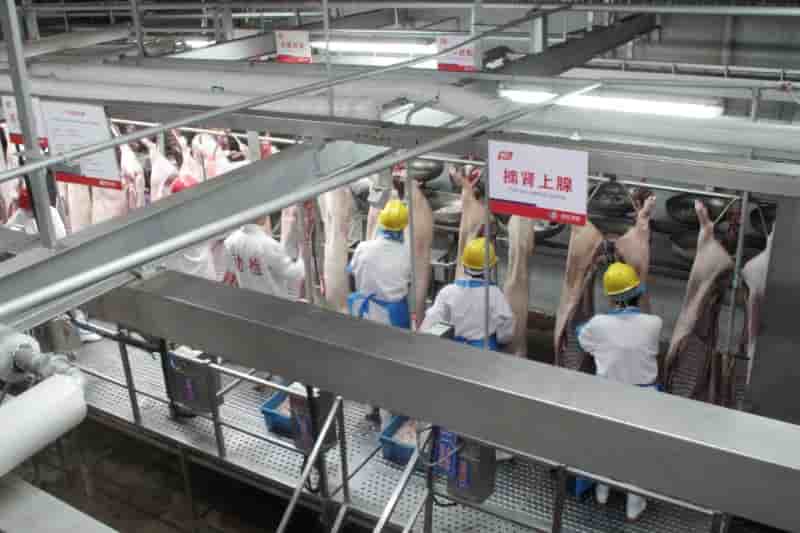 Un abattoir ferme apres un second cas de peste porcine en chine