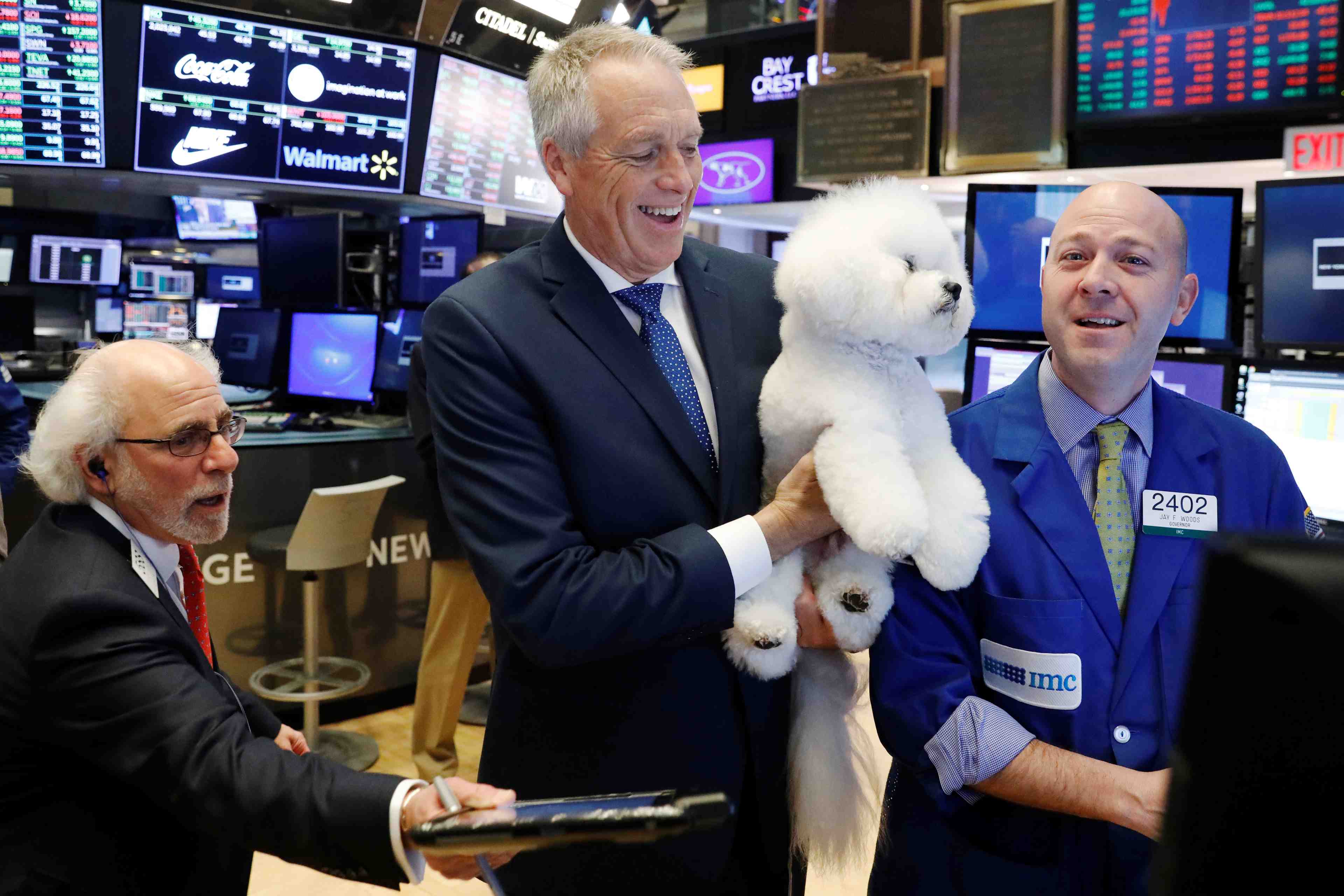 New york finit stable